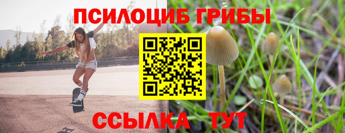 Черкесск  Галлюциногенные грибы Psilocybe  Вход с VPN 